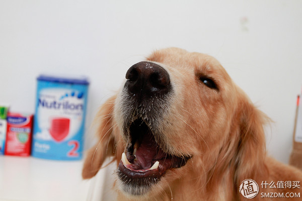 备孕婚前体验,备孕亲身经历和感受