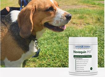 养狗激素类药物,养狗前期必备药品图片大全