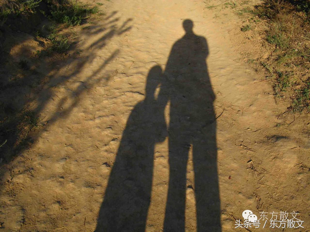 高高的铁塔视频,高高的铁塔是干什么用的