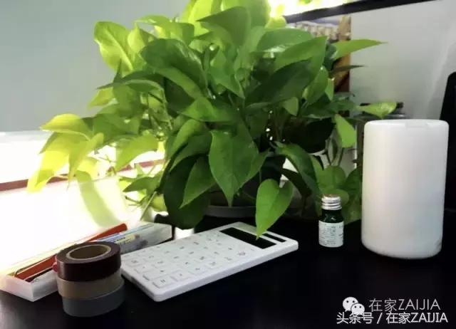 这是一份MUJI小物真实体验报告，请接好