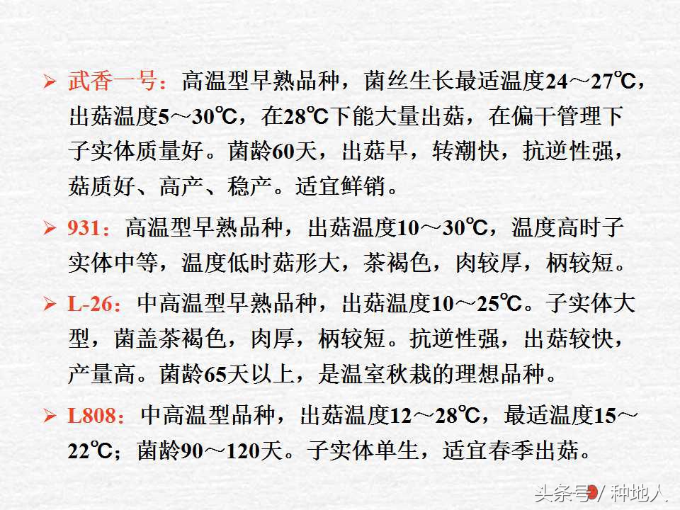 香菇栽培实用技术教案,屋顶香菇栽培