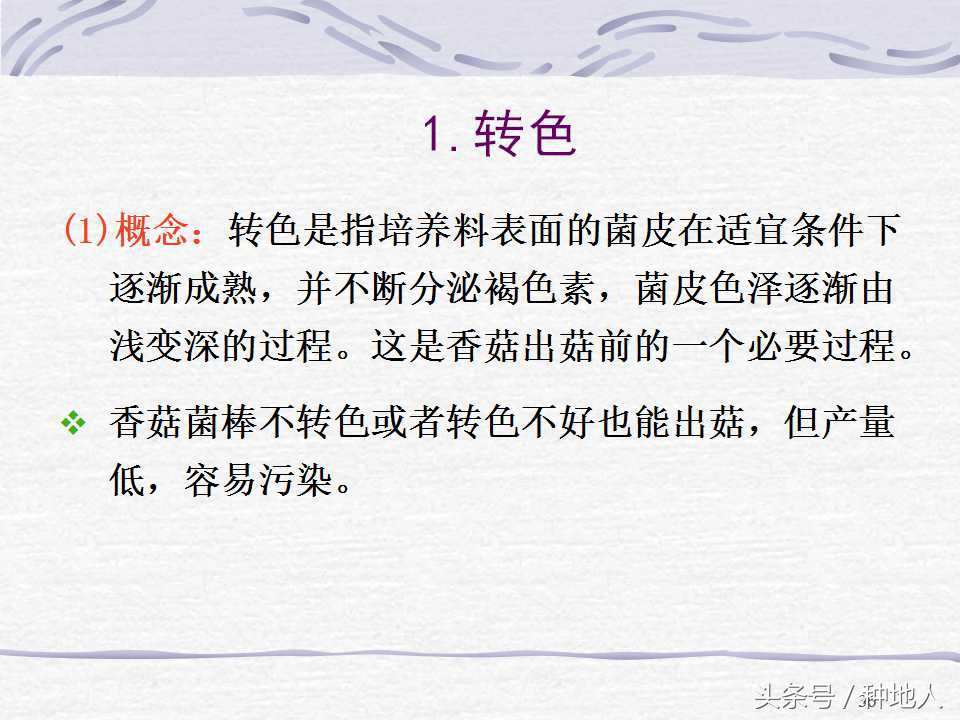 香菇栽培实用技术教案,屋顶香菇栽培