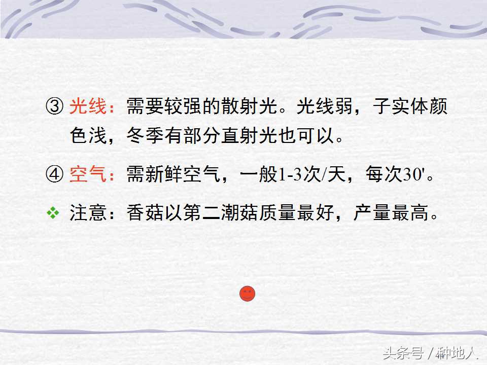 香菇栽培实用技术教案,屋顶香菇栽培