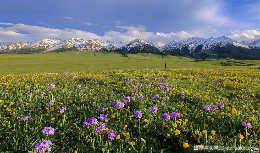 14张照片那拉提草原风景区 (美丽的那拉提草原真实图片)