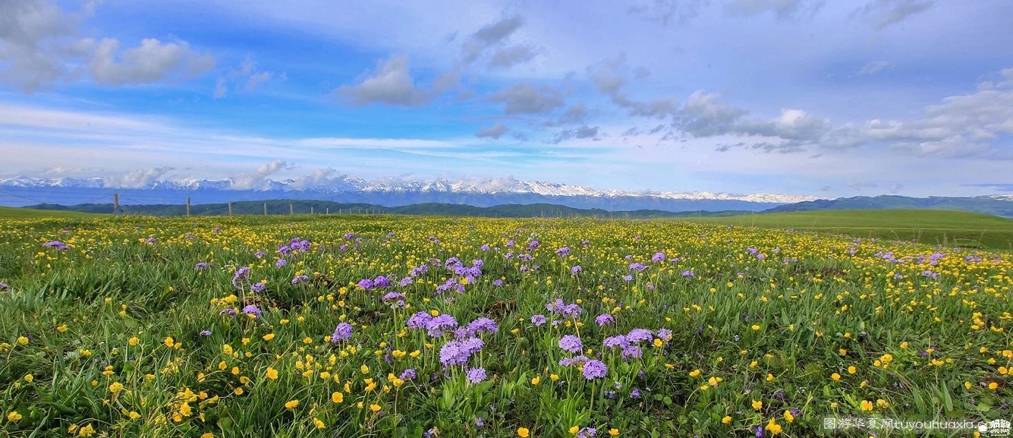 14张照片那拉提草原风景区 (美丽的那拉提草原真实图片)