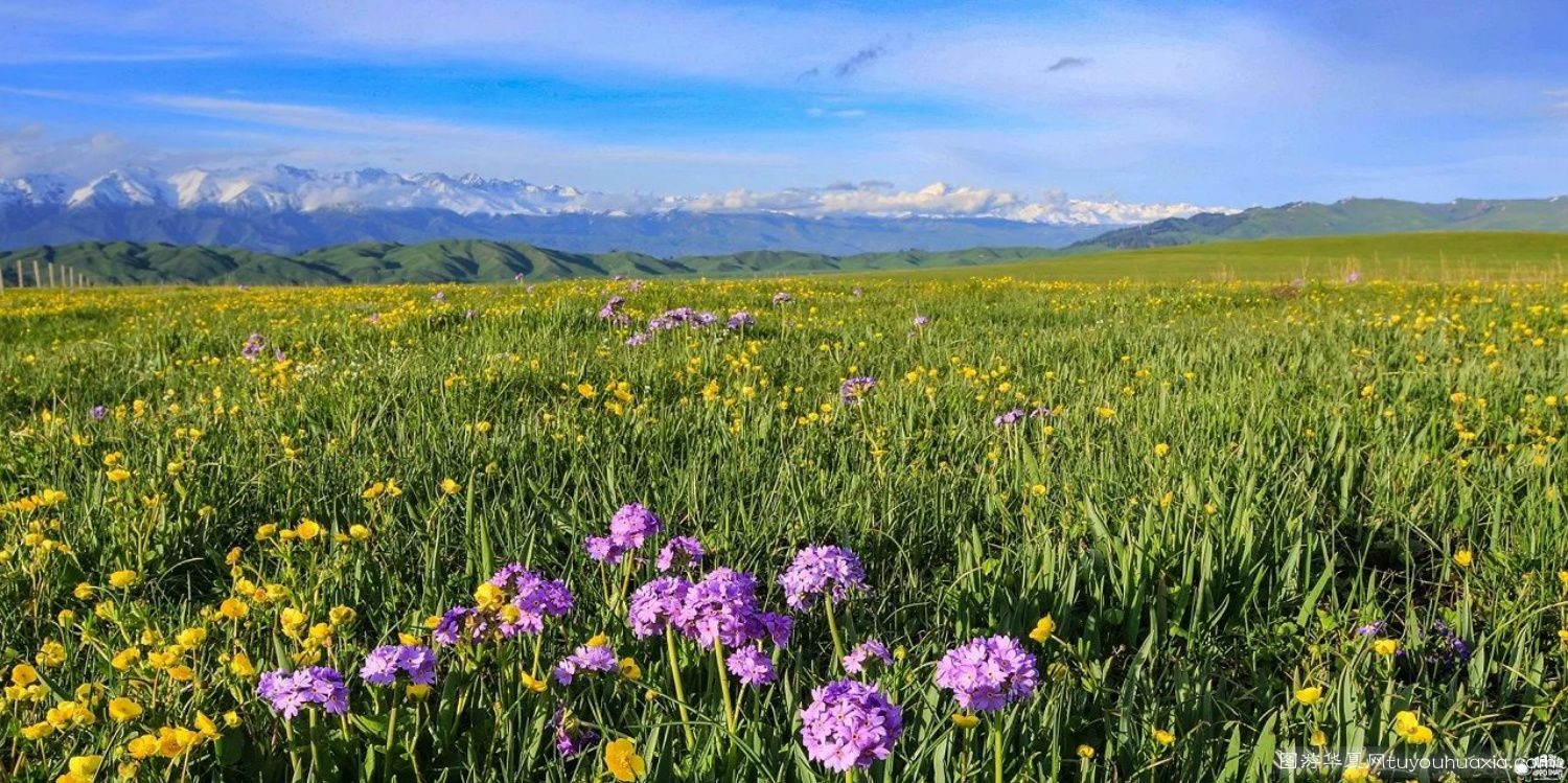 14张照片那拉提草原风景区 (美丽的那拉提草原真实图片)
