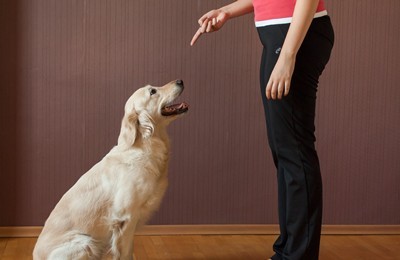 如何照顾女生,如何照顾生病的老人