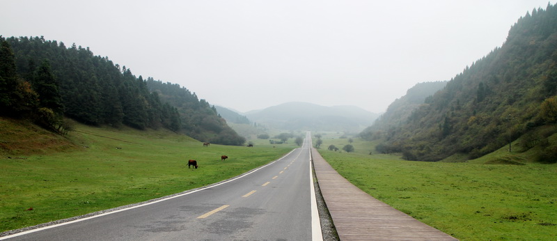 印象武隆属于什么档次,重庆旅行攻略观夜景