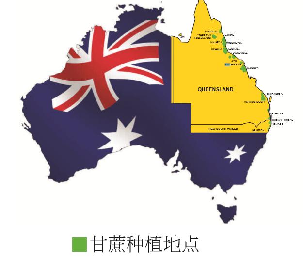 赐你一杯黑糖水,还你满满元气