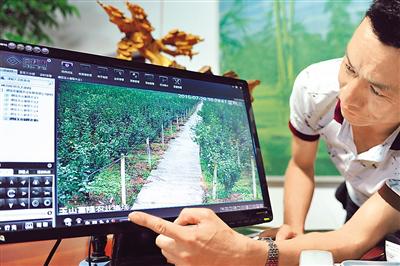 未来农业五大投资,哪位大神有投资经验