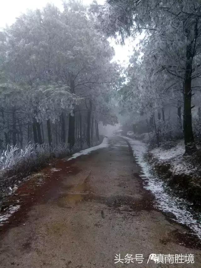富源县营上镇营上村高清航拍,富源营上大坪照片