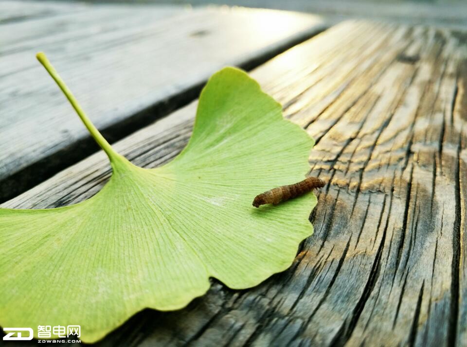 快充拍照好的手机,oppor9s拍照视频评测