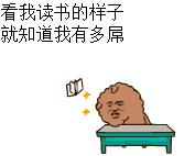 双11海淘平台怎么玩,双11海淘怎么买