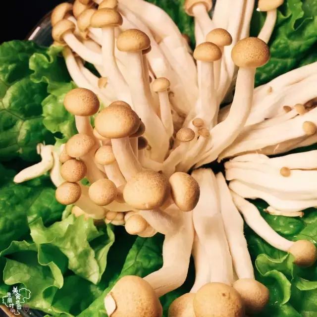 一年3家店！这家火爆的潮牛又来占领岳阳街啦！