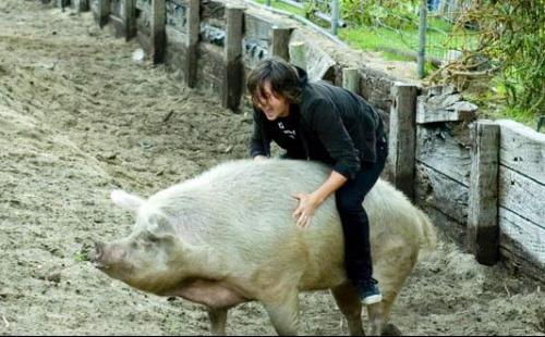 你记忆中最便宜的物价,那个年代的物价