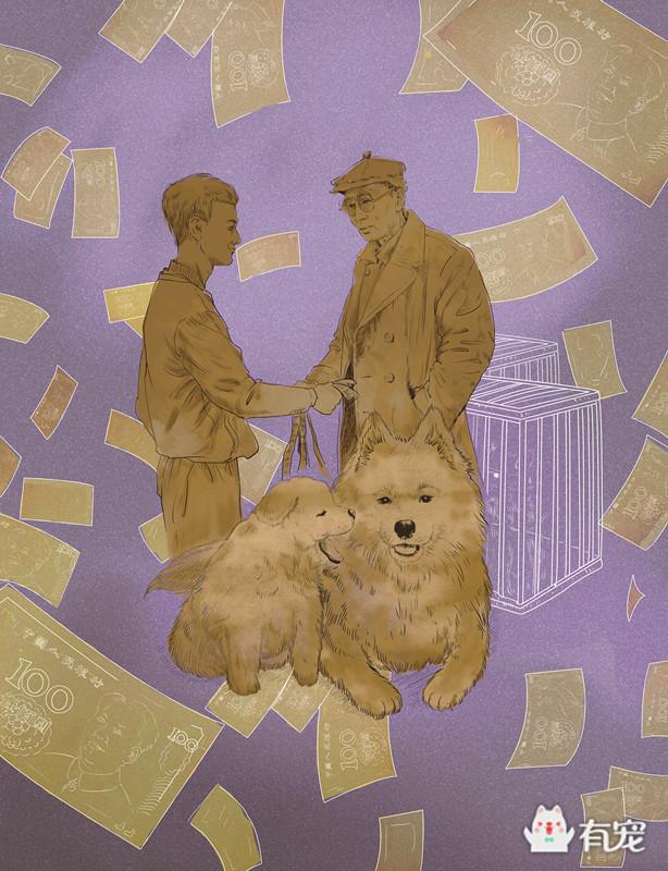 通州梨园狗市阿拉斯加,通州梨园狗市营业时间