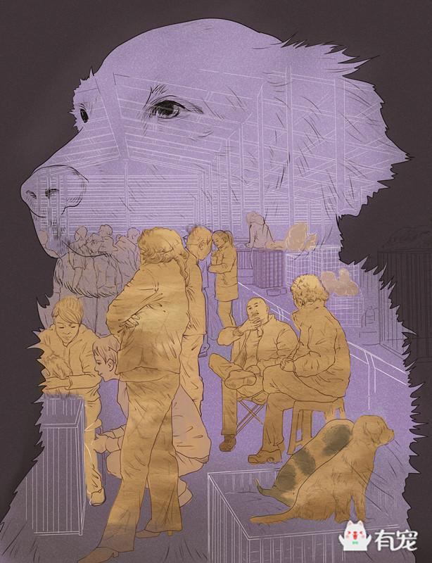 通州梨园狗市阿拉斯加,通州梨园狗市营业时间