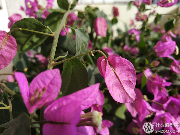 小米5s深度评测,小米5s稳定版好不好