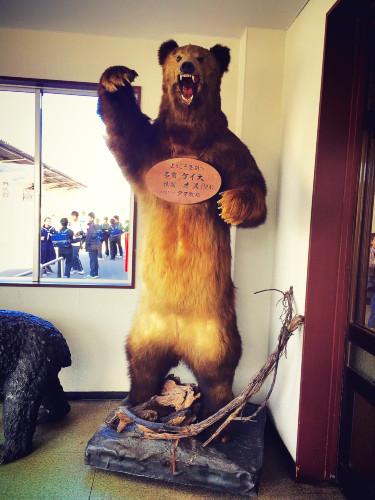 初秋日本快步东京，慢行北海道，泡汤美食8日