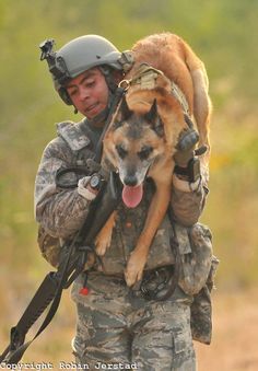 有一种狗叫你扛！狗狗黑背（德牧）的军旅生活！湄公河的哮天犬？