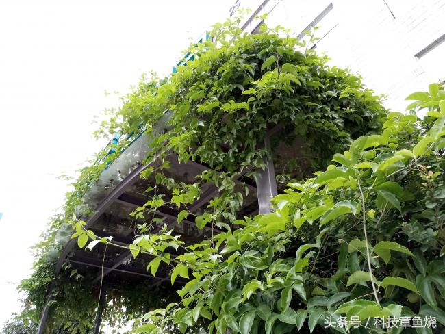 4300毫安续航测试,华为畅享6像素怎么样