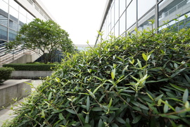 佳能16-35mmF2.8III镜头评测：9年换代值得等