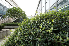 佳能16-35mmF2.8III镜头评测：9年换代值得等