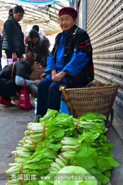 东溪古镇街景,苍溪县古镇全景图