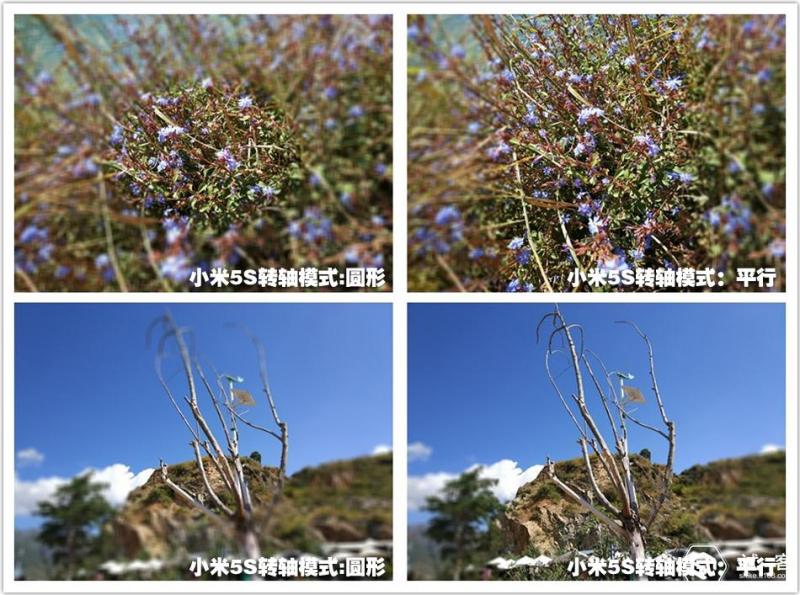 苍山洱海到大理旅游攻略,大理苍山到大理洱海