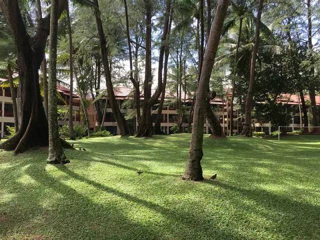 泰国普吉岛旅行攻略,泰国普吉亲子游攻略