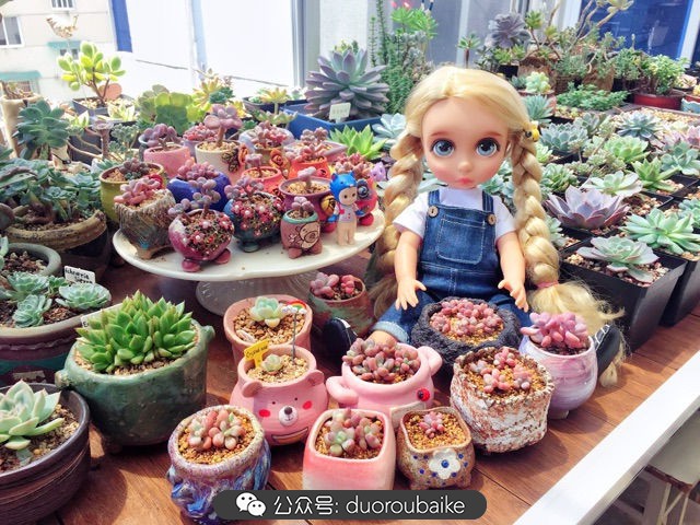 谈谈我对自己的看法,谈谈我对恋爱的看法