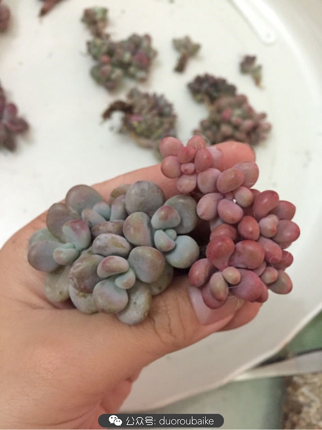 谈谈我对自己的看法,谈谈我对恋爱的看法