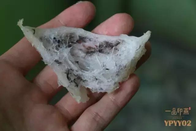 鲜炖燕窝七年老店,新鲜现炖燕窝店铺