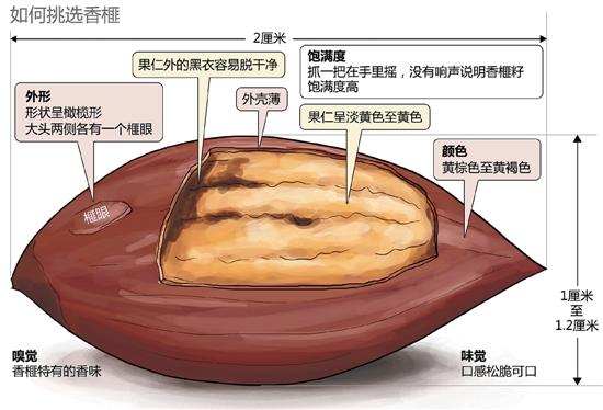 怎么吃香榧简单,香榧是圆榧好还是尖榧好