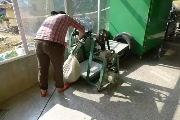 铁观音红镶边是怎么去除的,铁观音叶子为什么那么绿