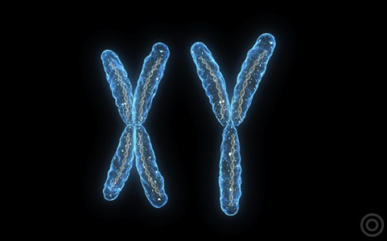 为什么女明星40多还能生孩子,为什么明星都是高龄生子