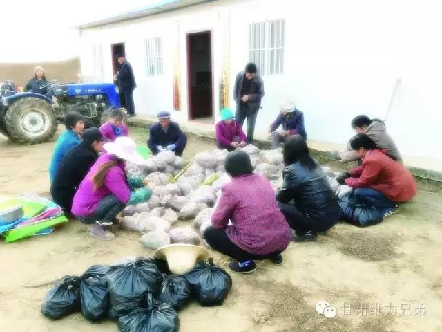 瑗垮拰鐧借妽,绉嶆鐧借妽鑷村瘜