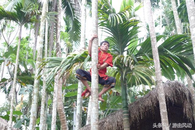 槟榔谷部落文化,槟榔谷文化探索