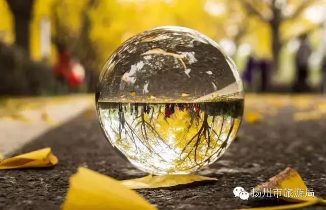 明日立冬，扬州最美的秋景都在这里啦！