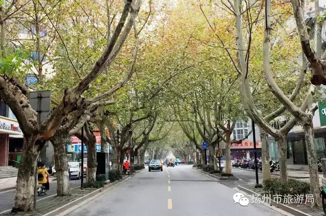 明日立冬，扬州最美的秋景都在这里啦！