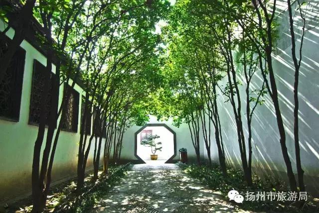 明日立冬，扬州最美的秋景都在这里啦！