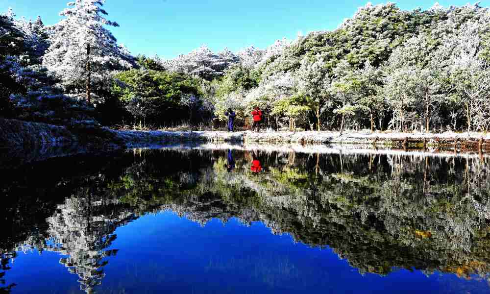 侠天下侠客行,侠客行和追风侠