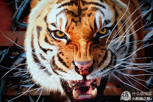 4k超高清hdr跟4kuhd有什么区别,4khdr和4k全高清