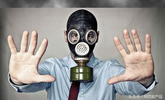 杀虫剂能杀死跳蚤不,杀虫剂能杀死跳蚤吗