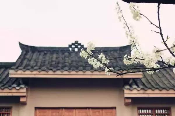 成都周边最适合亲子度假的民宿,成都春熙路住宿100元左右的民宿