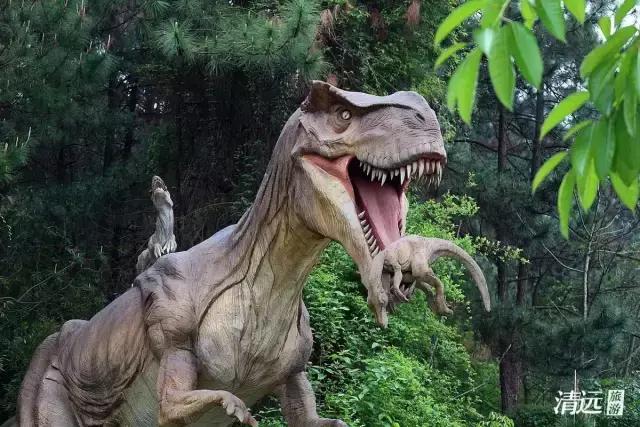 想在佛冈嗨翻天？这条路线一定让你热血沸腾！