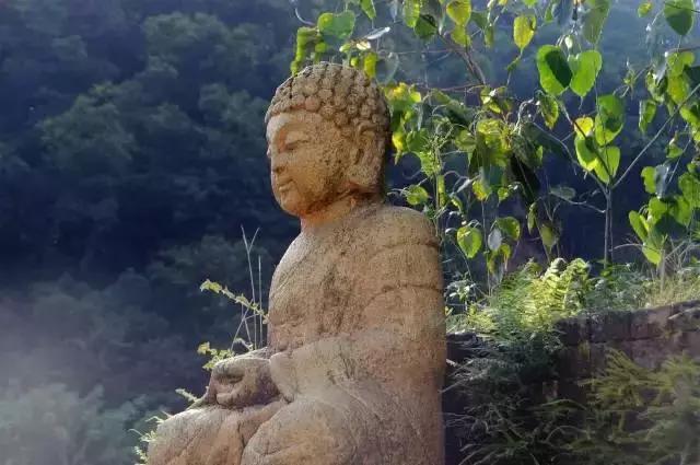 想在佛冈嗨翻天？这条路线一定让你热血沸腾！