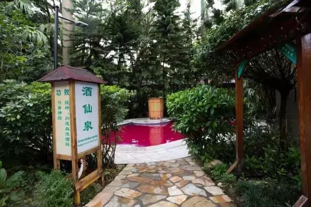 想在佛冈嗨翻天？这条路线一定让你热血沸腾！