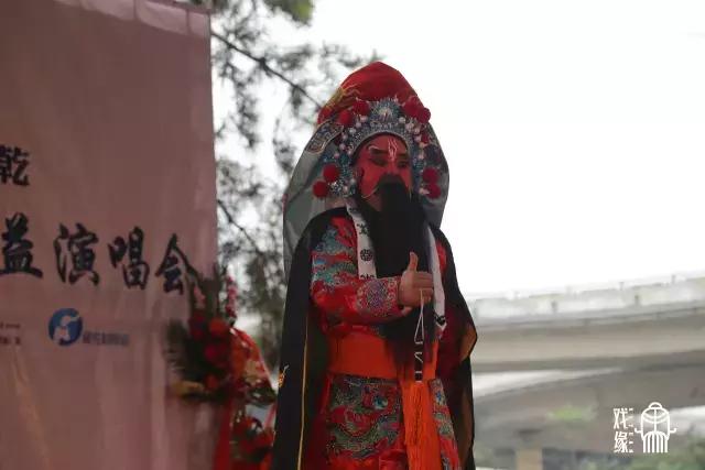 曲剧大师周玉珍演唱,曲剧名家周玉珍演出专辑