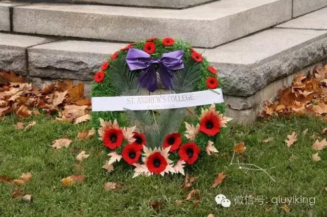 为了一朵花喝了一瓶酒,为了一朵花放弃一整个花园值吗